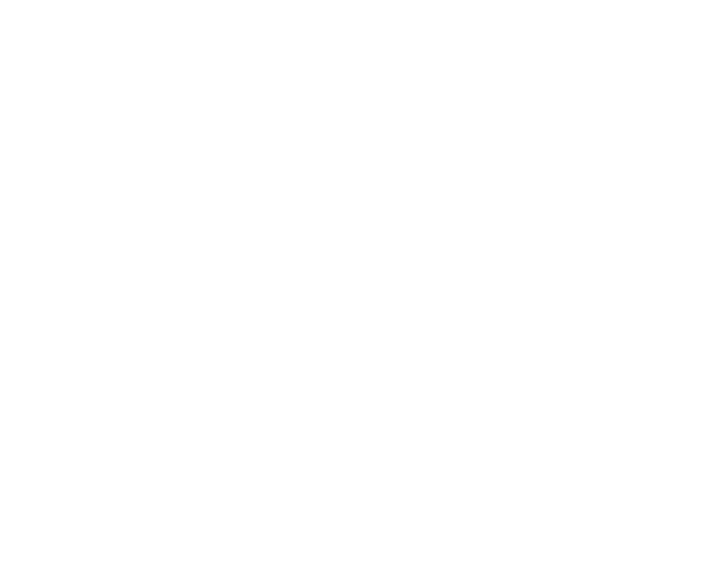 Patterson White Logo