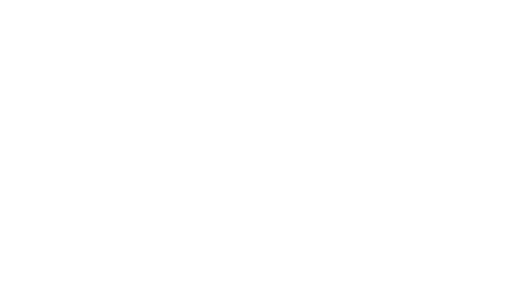 Wylie Foundation White Logo